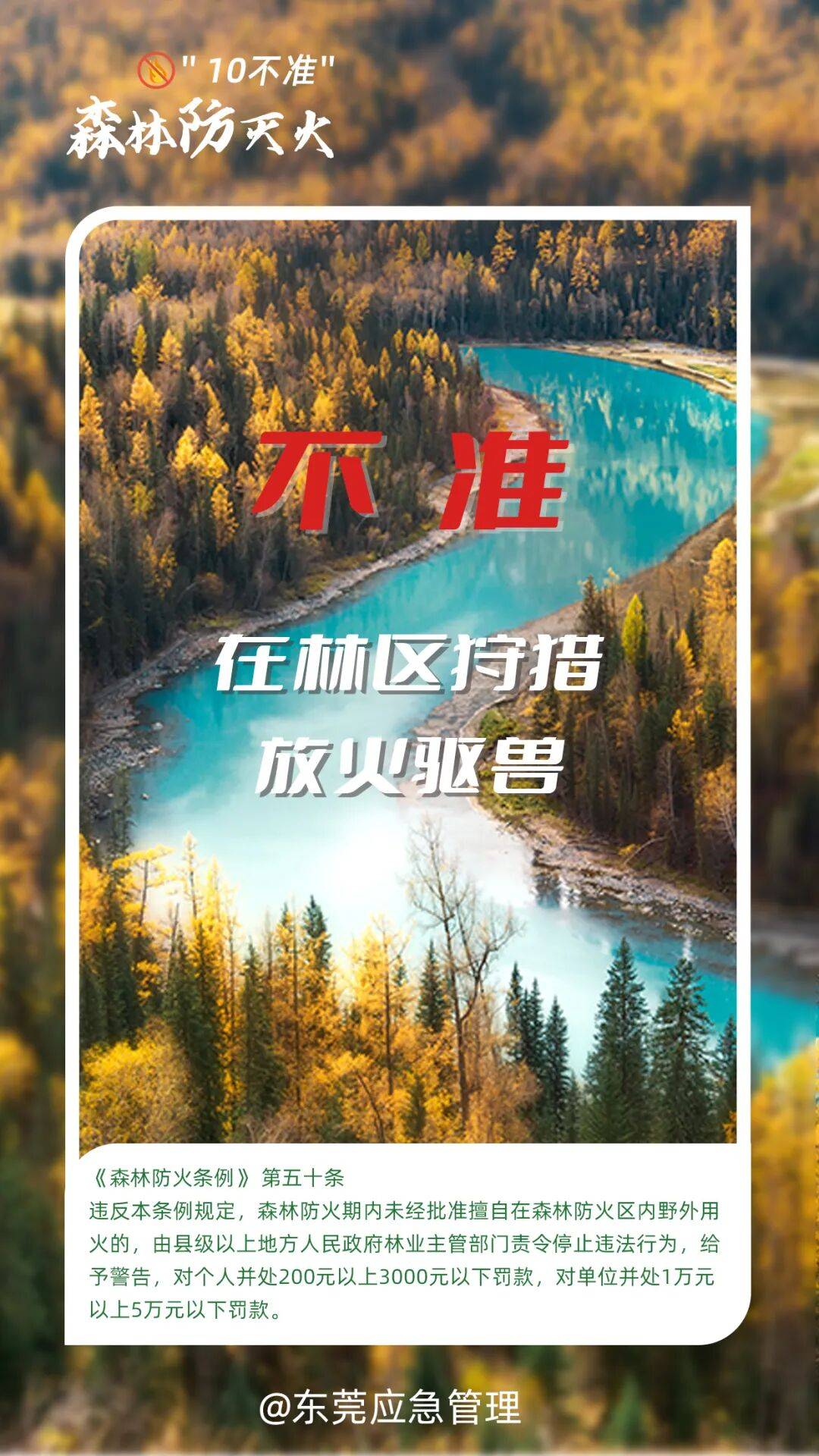 深圳坪山区突发山火<strong></p>
<p>co虚拟币</strong>,最新通报:明火已扑灭,无人员伤亡