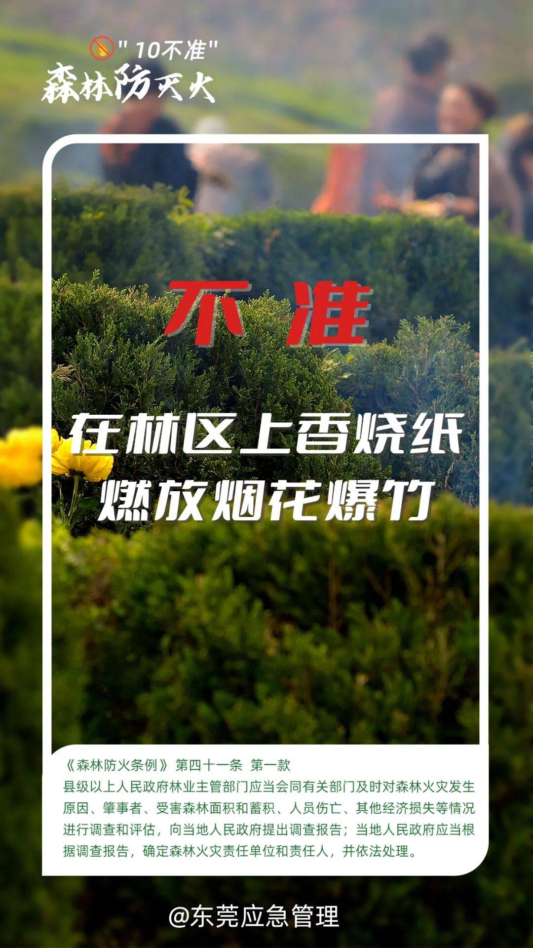 深圳坪山区突发山火<strong></p>
<p>co虚拟币</strong>,最新通报:明火已扑灭,无人员伤亡