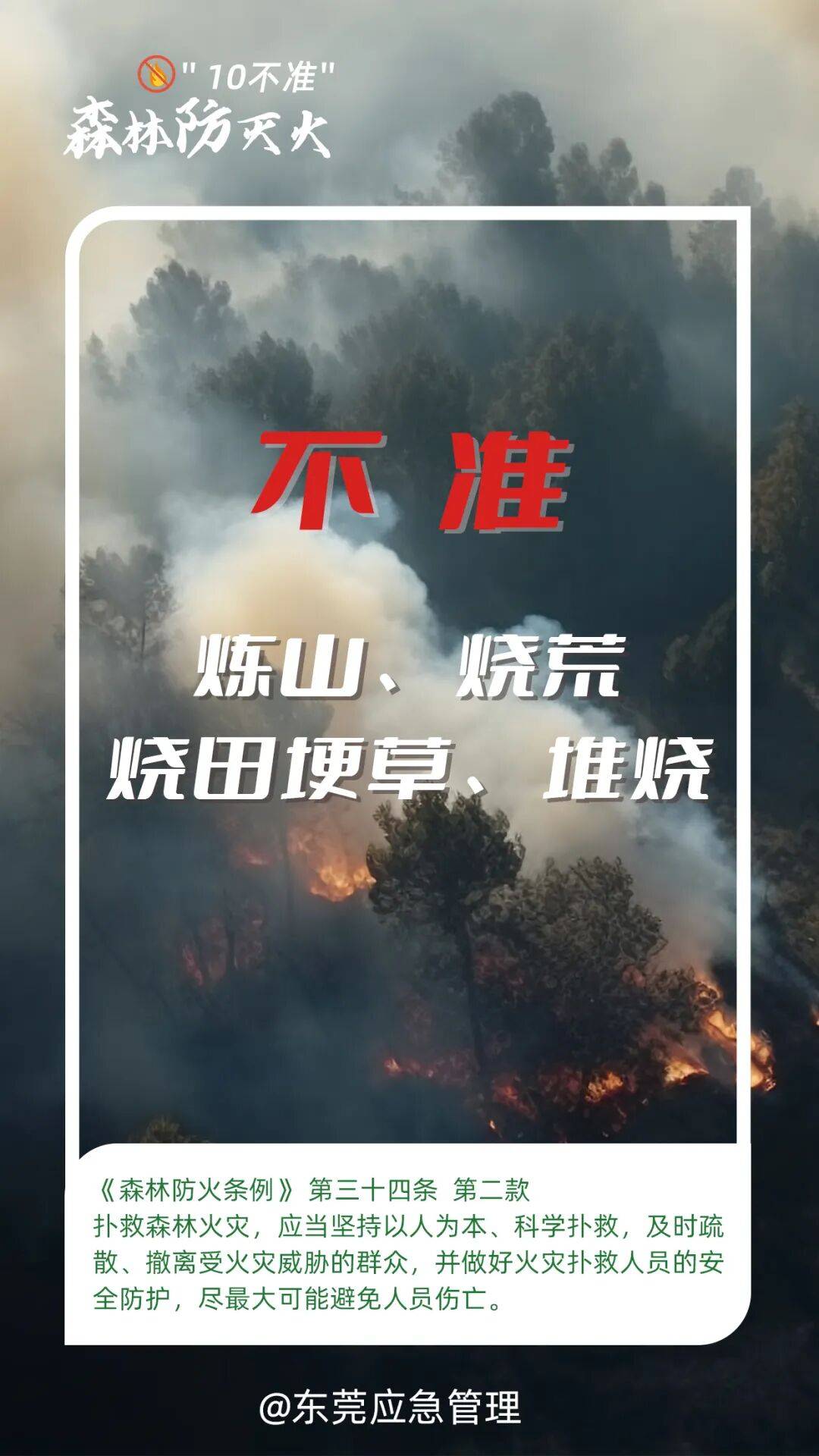 深圳坪山区突发山火<strong></p>
<p>co虚拟币</strong>,最新通报:明火已扑灭,无人员伤亡