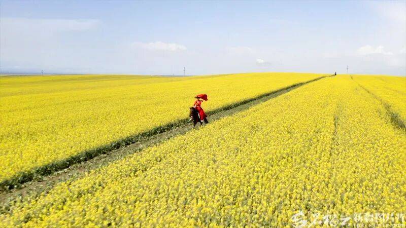 贺娇龙已安葬于昭苏公墓<strong></p>
<p>从比特币看虚拟货币</strong>,其父亲亦葬于此地