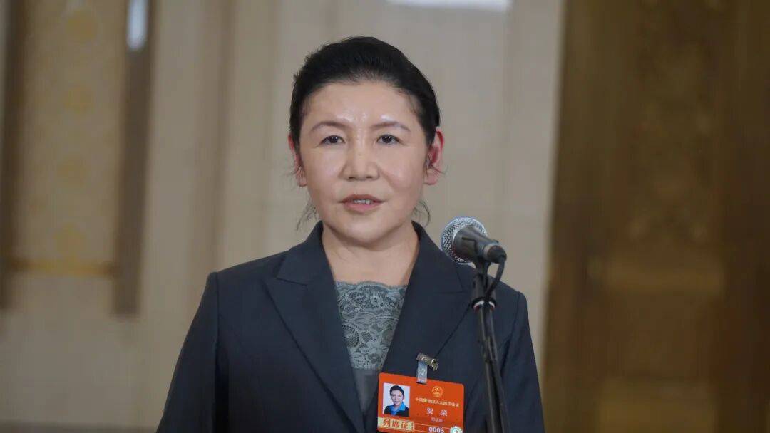 司法部部长贺荣:今年在全国推行扫码入企<strong></p>
<p>LNG虚拟币</strong>,谁来检查、检查什么,一目了然