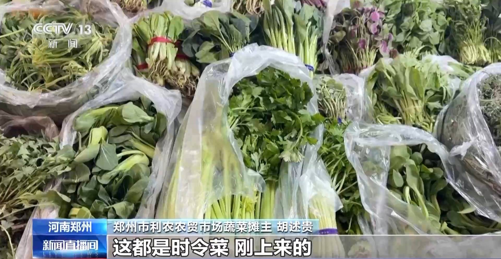 蒸、煎、拌、酿……一口鲜菜如何“锁”住春天<strong></p>
<p>在凌晨虚拟币</strong>？