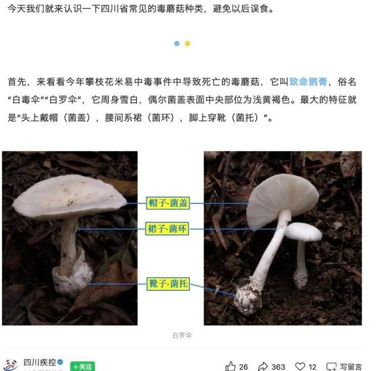 郑州一火锅店菜单现剧毒“白杆杆”?店家称正规渠道采购<strong></p>
<p>新口子虚拟币</strong>,当地市监未接到相关投诉