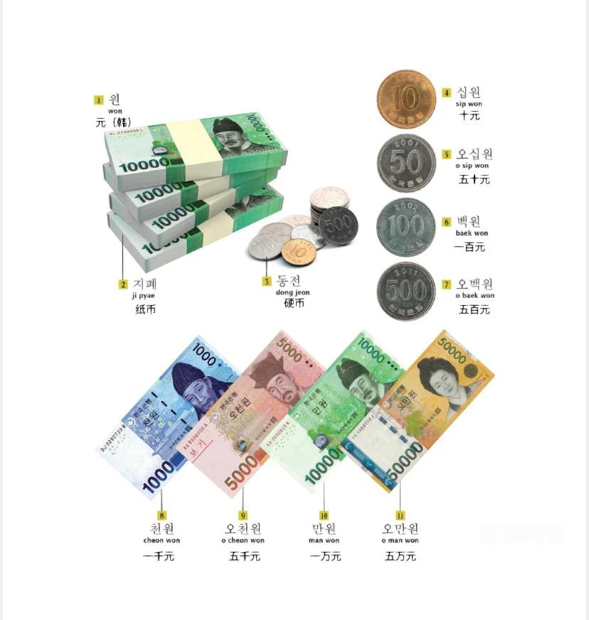 货币与商品的关系(货币与商品的相同点和不同点)